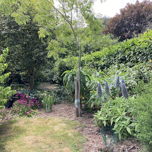 PhotoJardinJNH_06
