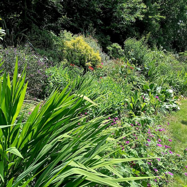 PhotoJardinJNH_10