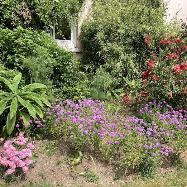 PhotoJardinJNH_21