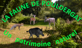 Lien vers faune sauvage